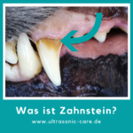 Wie sieht Zahnstein beim Hund aus?