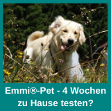 Emmi Pet 4 Wochen zu Hause testen?